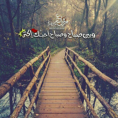 صور رومانسيه 2019 - خلفيات حب قويه 5606 2