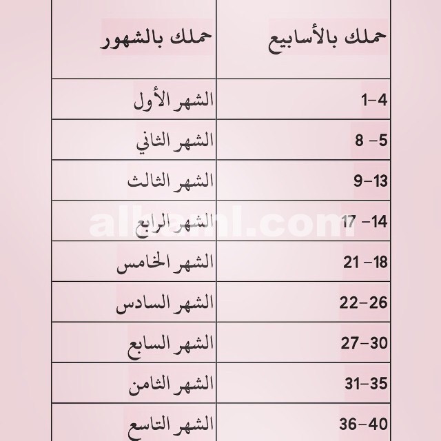 حاسبة الحمل بالاشهر , افضل حاسبات الحمل