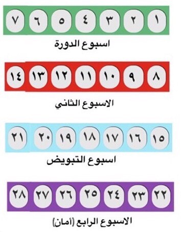 افضل وقت للحمل - توقيت الحمل المناسب 5061 1