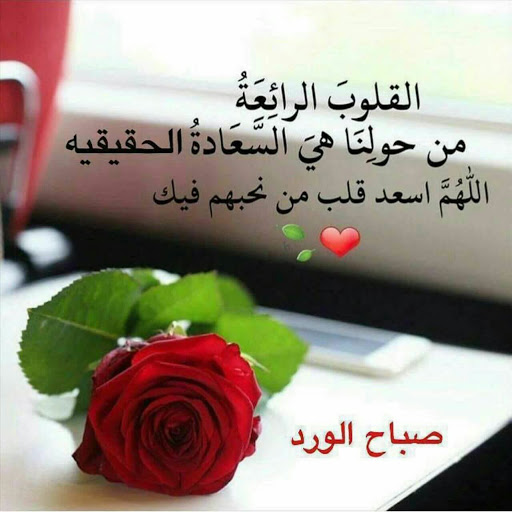 صباح الخير يا حبيبي 1328 1