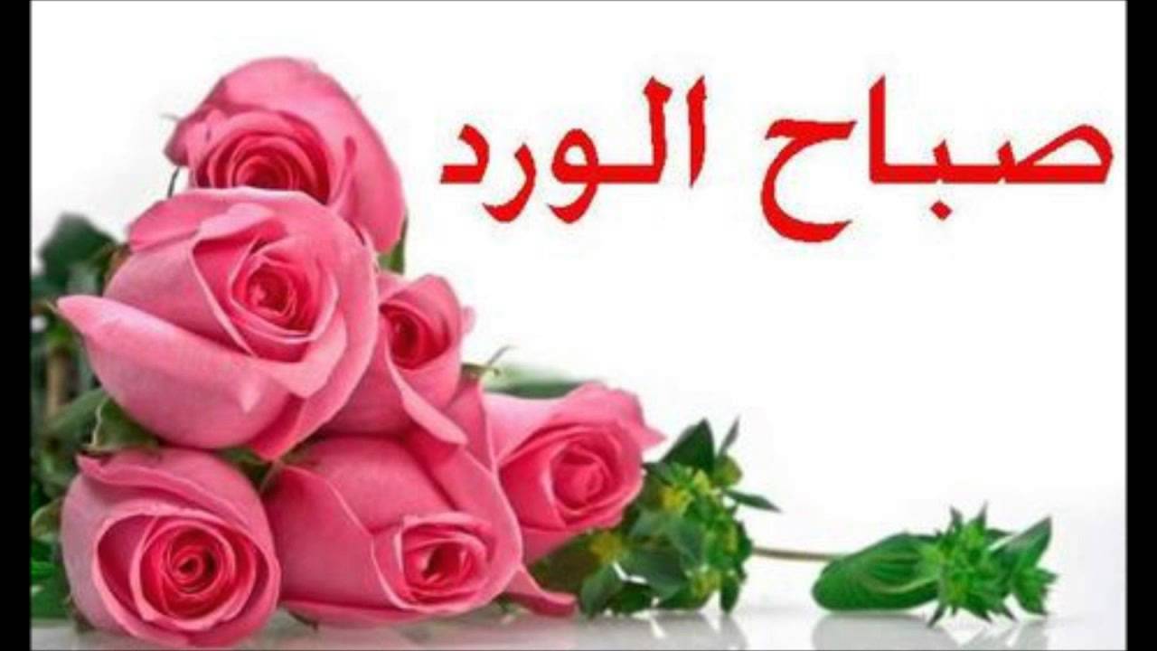 صور صباح الفل - عبارات صباح الخير 2667 3