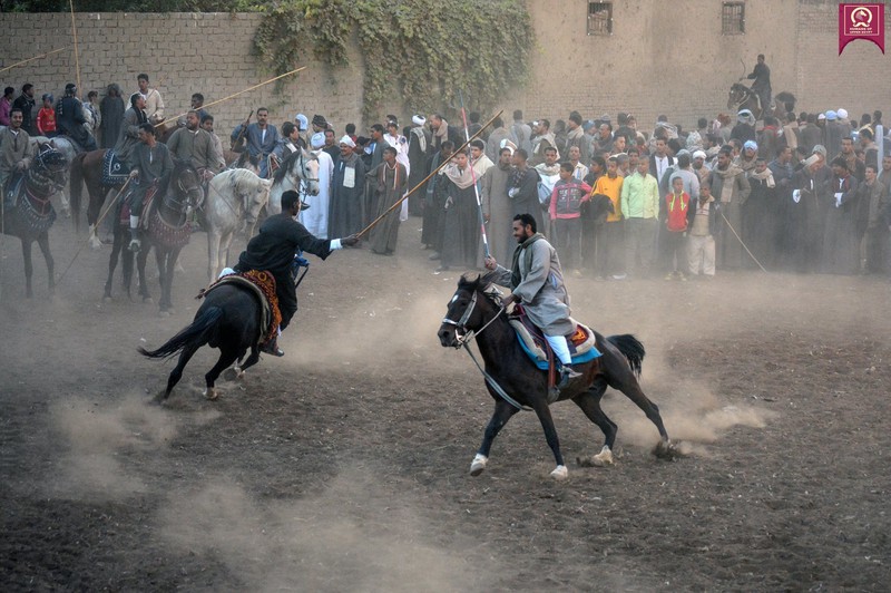 خيول عربية - اروع خيول العرب 4459 8