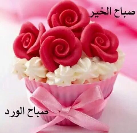 صور صباح الفل - عبارات صباح الخير 2667 2