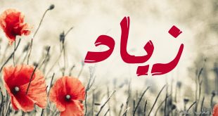 2285 7 معنى اسم زياد - معانى وصفات الاسماء احلام سعود
