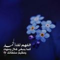 2439 12 صور عبارات جميلة - اجمل كلمات جديدة احلام سعود
