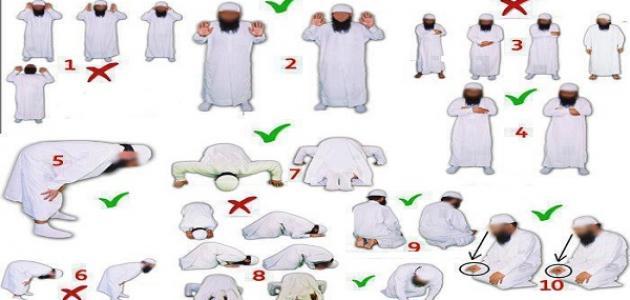 3015 2 كيفية الصلاة الصحيحة بالصور للنساء - صلاة المراة السليمة رحاب أحمد