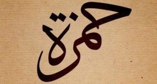 1033 3 معنى اسم حمزة- اسماء اولاد دينية تذكير صفا